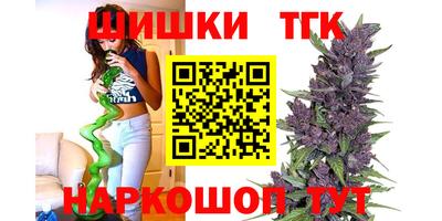гашик Славгород