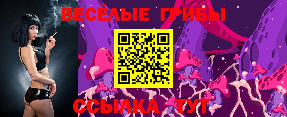 Сафоново  Галлюциногенные грибы MAGIC MUSHROOMS  Вход с VPN 